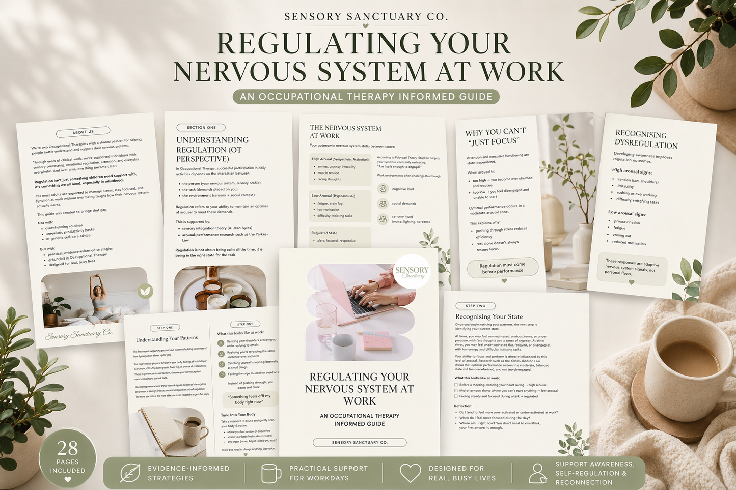 Nervous System Regulation at Work: OT-Informed Guide